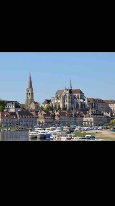 Bel Appart Au Bord De L'Eau Proche Gare Avec Wifi Auxerre Kültér fotó